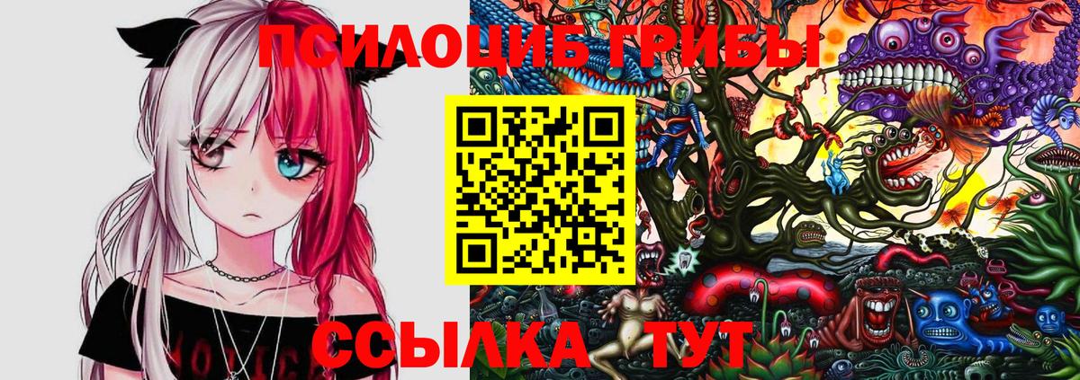 Псилоцибиновые грибы прущие грибы  Псилоцибиновые грибы Cubensis  Вход с VPN  Гурьевск 
